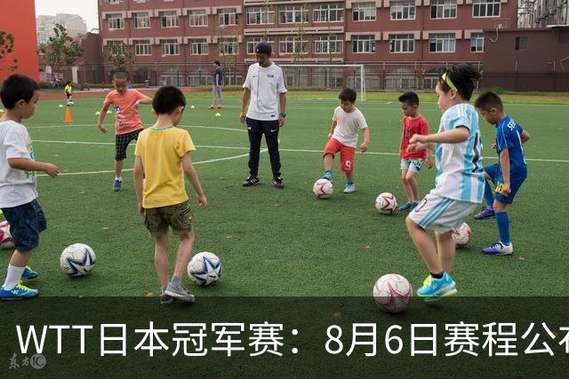 WTT日本冠军赛：8月6日赛程公布，向鹏陈垣宇恶战，陈熠挑战张本美和